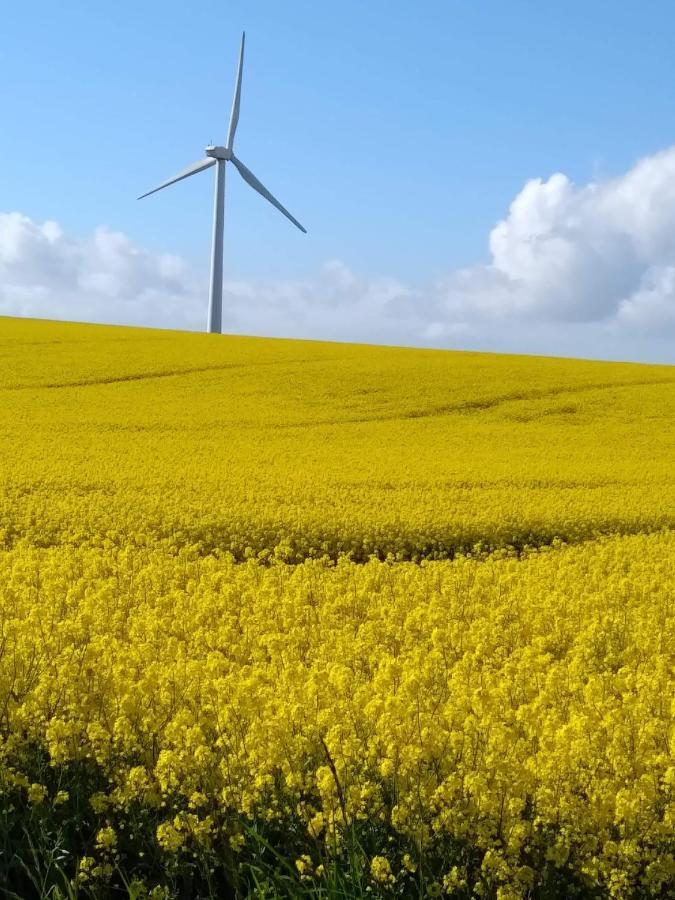 Longvilliers  O Cosyヴィラ エクステリア 写真